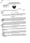 Vista preliminar de documento RDR 7006-2024