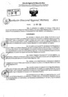 Vista preliminar de documento RDR 7008-2024