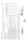 Vista preliminar de documento Anexo 06 - Aprobación de Modificación al N° 0485