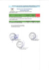 Vista preliminar de documento Resultados Finales