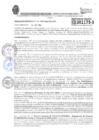 Vista preliminar de documento RESOLUCION GERENCIAL N°499-2024-MDI-GDUyR-G