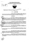 Vista preliminar de documento RDR 7617-2024