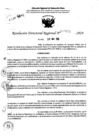 Vista preliminar de documento RDR 7621-2024