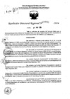 Vista preliminar de documento RDR 7632-2024