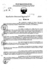 Vista preliminar de documento RDR 7641-2024