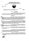 Vista preliminar de documento RDR 7646-2024