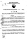 Vista preliminar de documento RDR 7648-2024