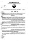Vista preliminar de documento RDR 7650-2024