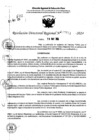 Vista preliminar de documento RDR 7651-2024