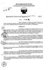 Vista preliminar de documento RDR 7653-2024