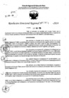 Vista preliminar de documento RDR 7654-2024