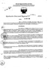 Vista preliminar de documento RDR 7655-2024