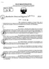 Vista preliminar de documento RDR 7013-2024