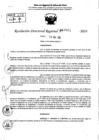 Vista preliminar de documento RDR 7024-2024