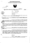 Vista preliminar de documento RDR 7025-2024