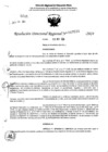 Vista preliminar de documento RDR 7036-2024