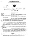 Vista preliminar de documento RDR 7037-2024