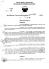 Vista preliminar de documento RDR 7038-2024