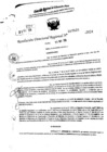 Vista preliminar de documento RDR 7039-2024