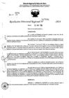 Vista preliminar de documento RDR 7044-2024