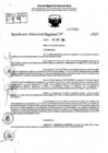 Vista preliminar de documento RDR 7046-2024