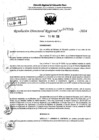 Vista preliminar de documento RDR 7048-2024