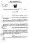 Vista preliminar de documento RDR 7049-2024
