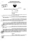 Vista preliminar de documento RDR 7052-2024