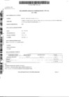 Vista preliminar de documento D.J Inicio-Oscar Gayoso 2020