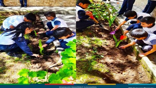 La Gerencia de Desarrollo Ambiental, a través del Programa Municipal Educca, en conjunto con los docentes de la Institución Educativa Cristo Rey, organizó la Feria "Conciencia Ambiental y Cuidado de Áreas Verdes". Este evento tuvo como objetivo sensibilizar a los estudiantes sobre la importancia de proteger el medio ambiente y las áreas verdes en su comunidad.
🗣Durante la feria, los alumnos participaron activamente en diversas actividades, como la elaboración de trabajos creativos utilizando materiales reciclables, demostrando su compromiso con la reducción de residuos y la reutilización de recursos. Además, los estudiantes realizaron la siembra de plantas ornamentales, contribuyendo al embellecimiento y mantenimiento de los espacios verdes en su entorno escolar.
✔La iniciativa refuerza el trabajo colaborativo entre la Municipalidad Provincial de Cajamarca y las instituciones educativas, promoviendo valores ambientales en las nuevas generaciones y fomentando un futuro más sostenible para la ciudad.