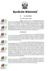 Vista preliminar de documento rm_313_2024_mimp