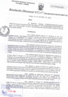 Vista preliminar de documento RD N°0111