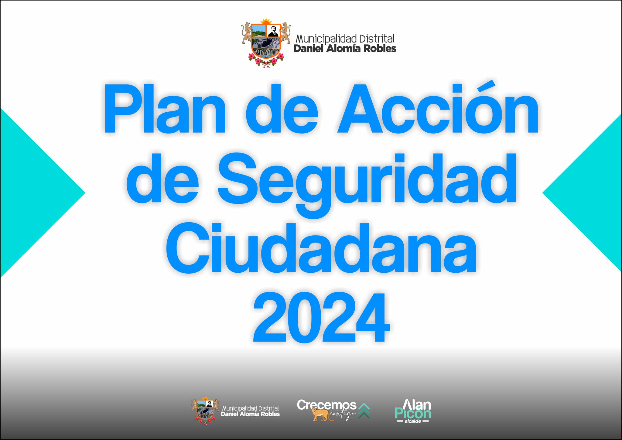 Plan de acciΓ³n seguridad ciudadana