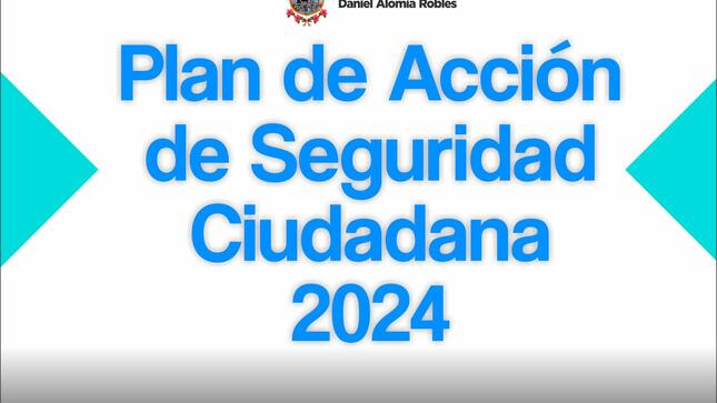 Plan de acción seguridad ciudadana