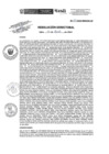 Vista preliminar de documento R.D.N.290-2024-INSN-DG