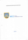 Vista preliminar de documento MANUAL DE CLASIFICADOR DE CARGOS