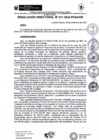Vista preliminar de documento rd211-2024