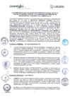 Vista preliminar de documento 233 - Convenio marco entre PEL y Coorporacion de aeropuertos y aviación civil comercial S.A