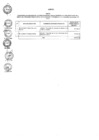 Vista preliminar de documento Anexo  N° 055-2015-DV-PE