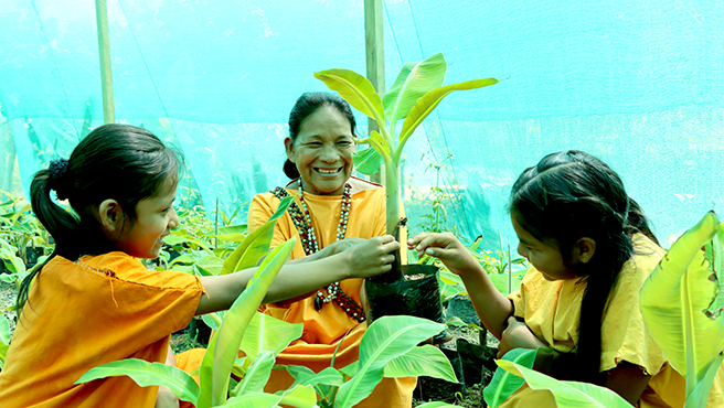 Productores de plátano y banano