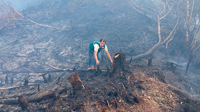incendios
