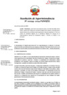 Vista preliminar de documento RSI-199-2024-SUNAFIL