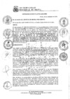 Vista preliminar de documento Ordenanza Municipal Nro 610-2024-MDB