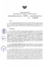 Vista preliminar de documento RDR N° 461-2024-10-09-2024