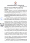 Vista preliminar de documento RG N 372-MDP