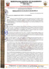 Vista preliminar de documento Resolución de Alcaldía Nro. 0196-2024-MDC-A