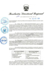 Vista preliminar de documento RDR-699-2024