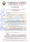 Vista preliminar de documento RESOLUCION DE ALCALDIA Nº 263
