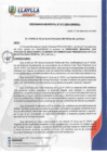 Vista preliminar de documento OM-017-2024