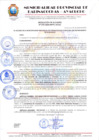 Vista preliminar de documento RESOLUCION DE ALCALDIA Nº 270